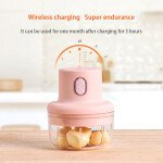 Double Bowl Rechargeable Powerful Mini Electric Food Garlic Chopper