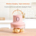 Double Bowl Rechargeable Powerful Mini Electric Food Garlic Chopper